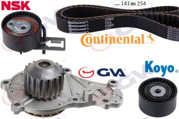 DEVİRDAİMLİ EKSANTRİK GERGİ KİTİ 141x25.4 C5 III-C4 II-DS4-P208-P308-P3008-P5008-2008-PARTNER TEPE BERLINGO III-C3 III-DS3-DS5-P301-C ELYSEE DV