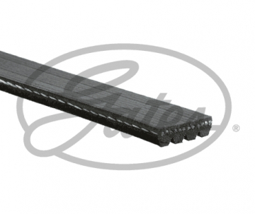 KANALLI KAYIŞ PALIO ALBEA 1.3 MULTIJET D. 05 ACCORD TYPE R VTEC 2.2 98 4PK1022 Marka : GATES