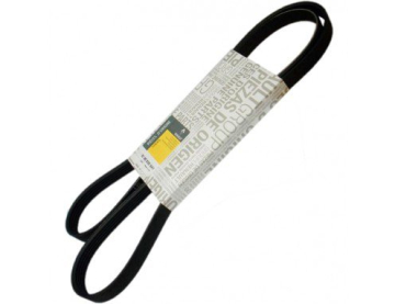 KANALLI KAYIS CLIO II 98 05 SYMBOL II 08 14 MEGANE I 98 02 LOGAN 04 KANGOO 97 SANDERO 08 MERCEDES W414 W168 5PK 1750 Marka : MY